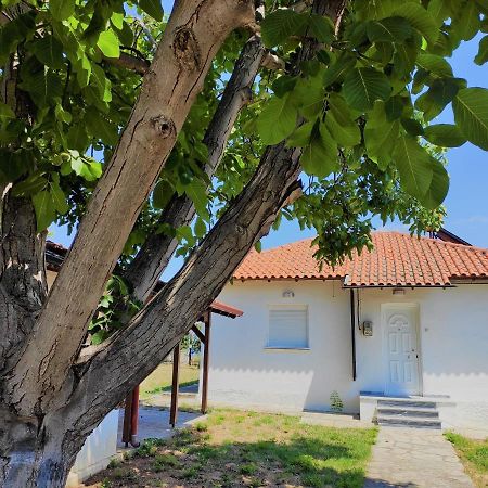 マクリギアロス White Clam Vintage House With Sea View & Gardenヴィラ エクステリア 写真