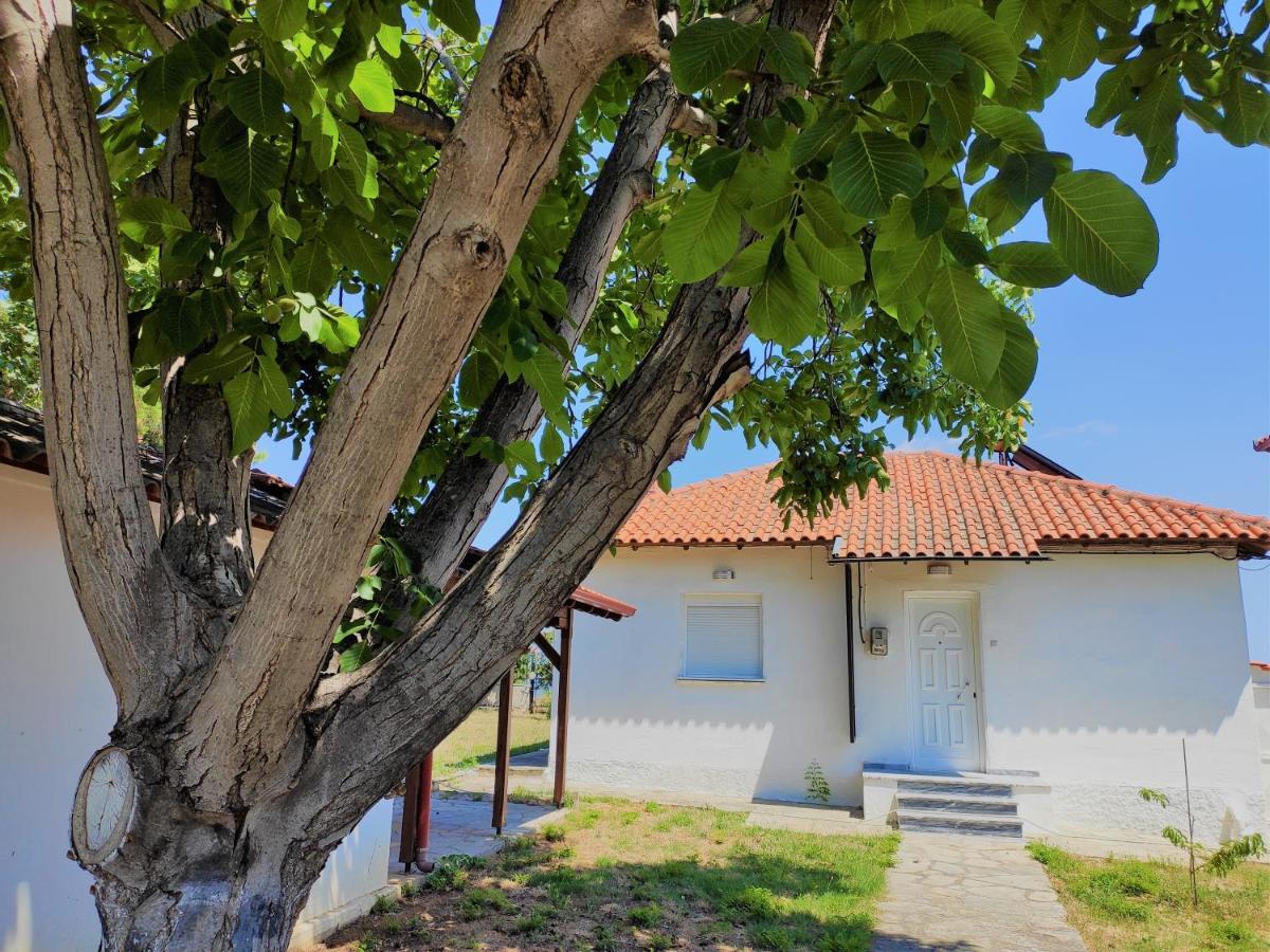 マクリギアロス White Clam Vintage House With Sea View & Gardenヴィラ エクステリア 写真