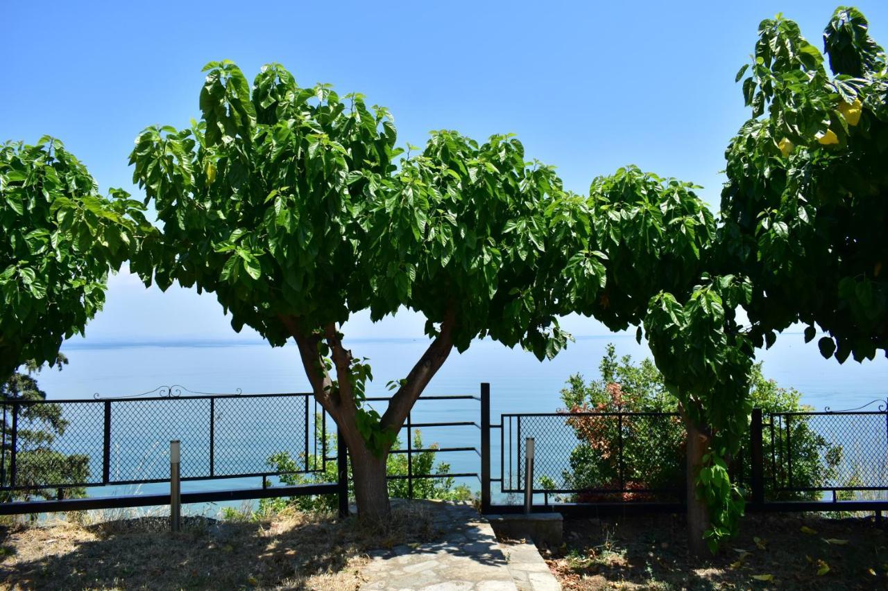 マクリギアロス White Clam Vintage House With Sea View & Gardenヴィラ エクステリア 写真